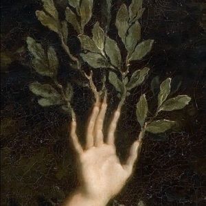 Meet your Posher, Edgar